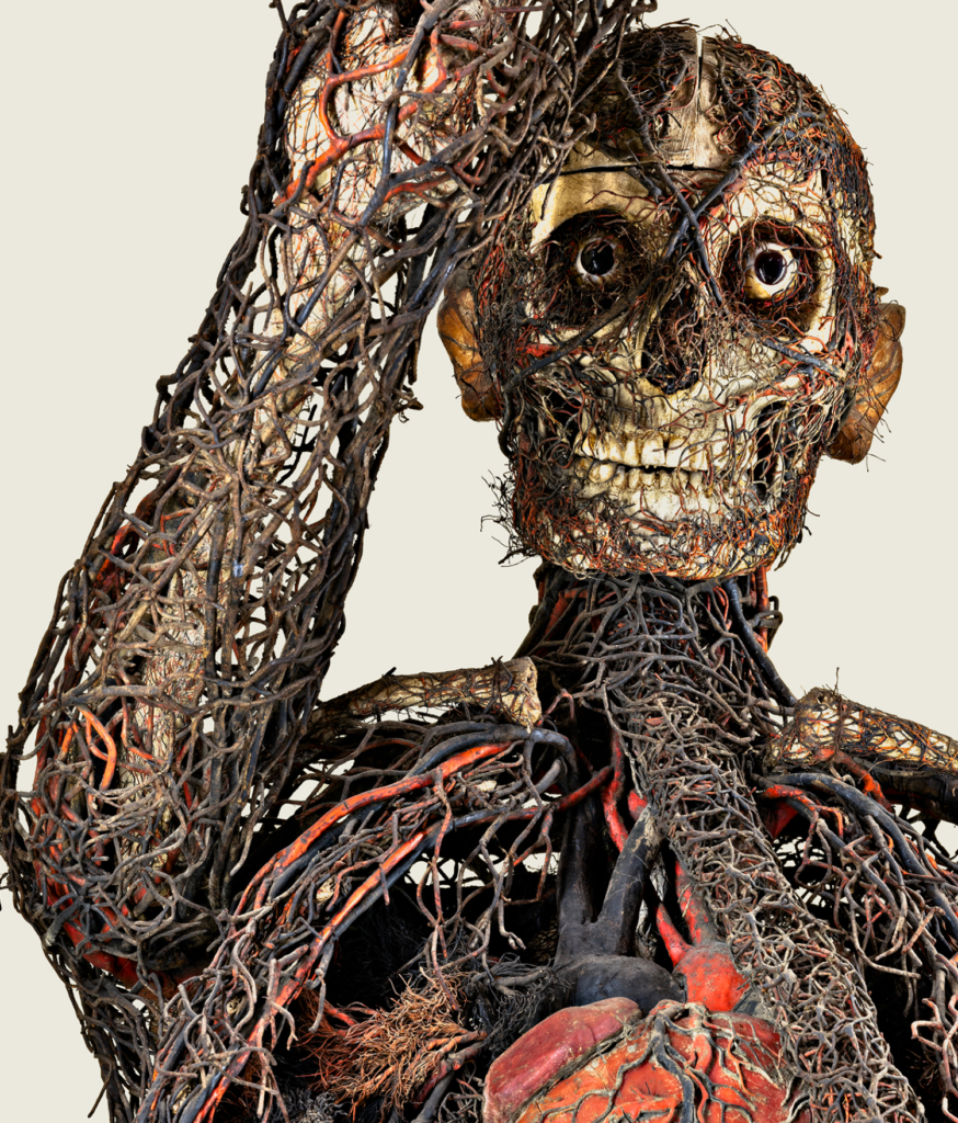 dettaglio volto Macchina anatomica