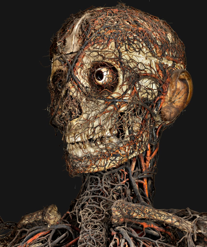 dettaglio Macchine anatomiche