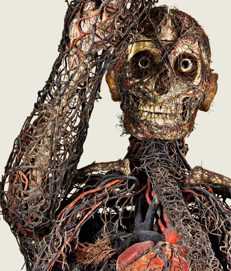 dettaglio Macchine anatomiche