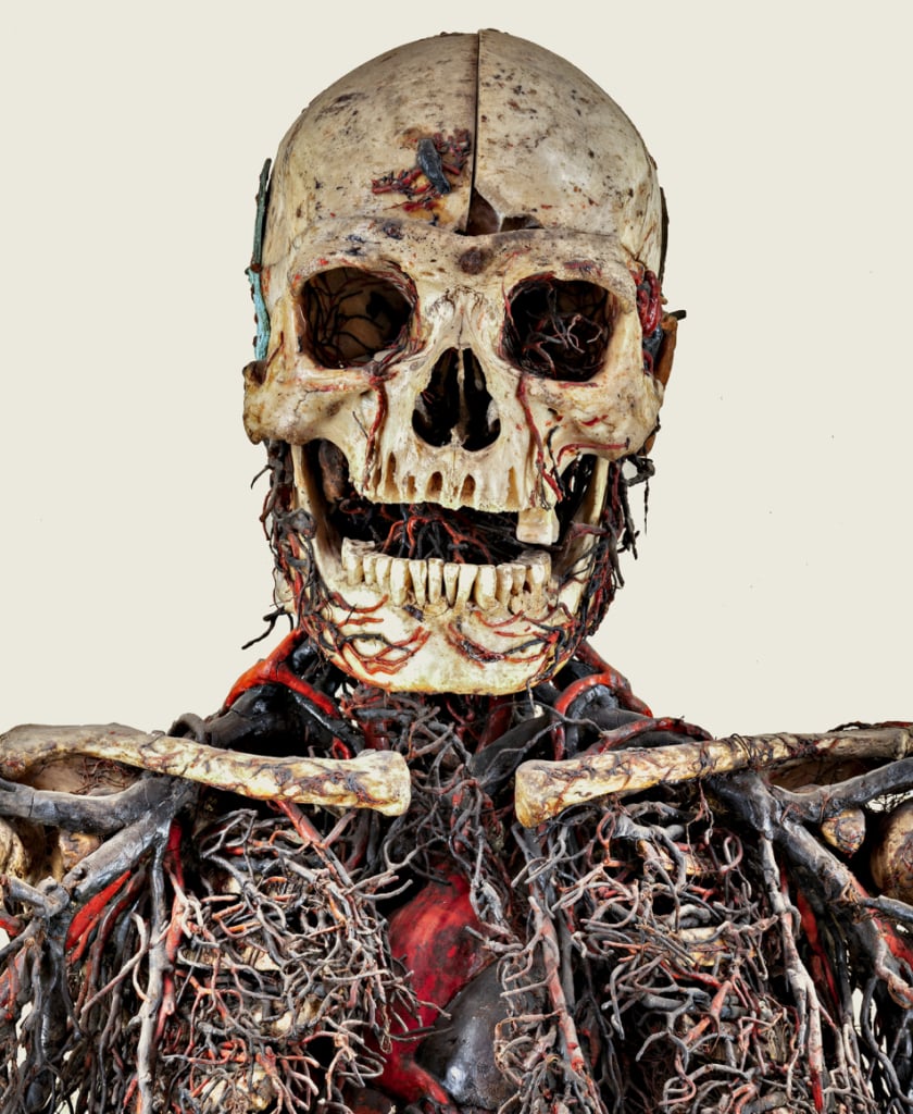 dettaglio Macchine anatomiche