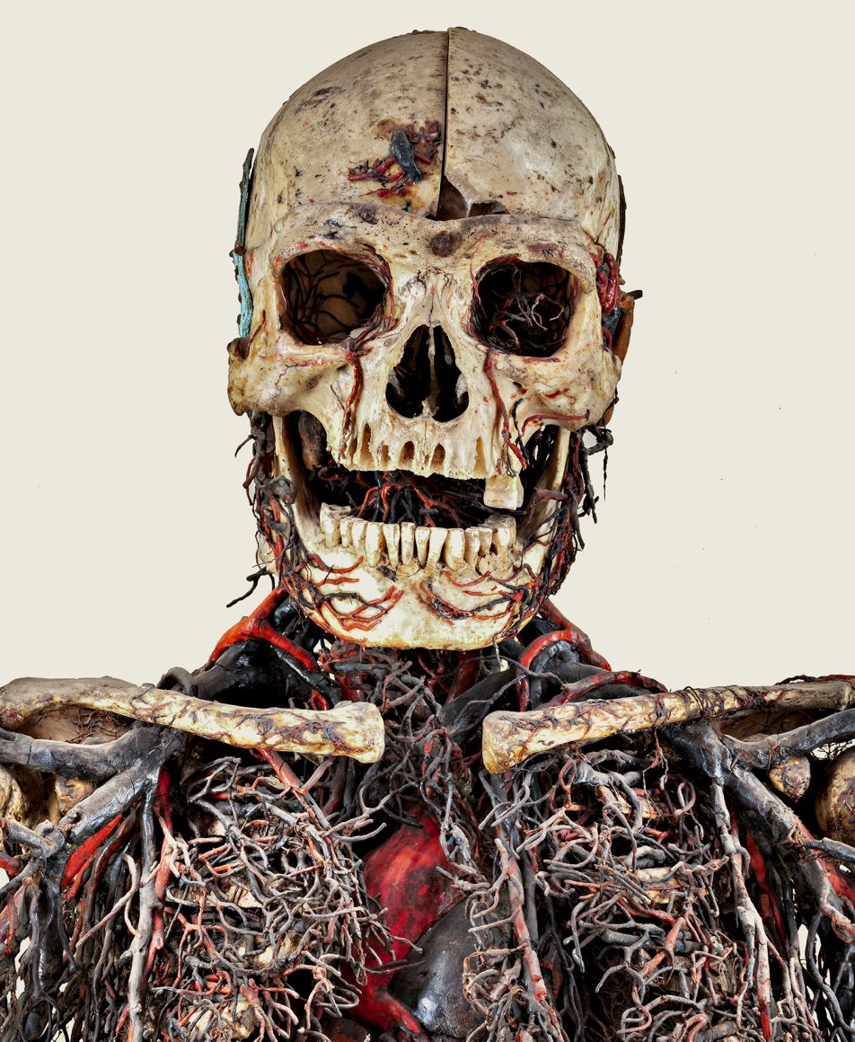 dettaglio Macchine anatomiche