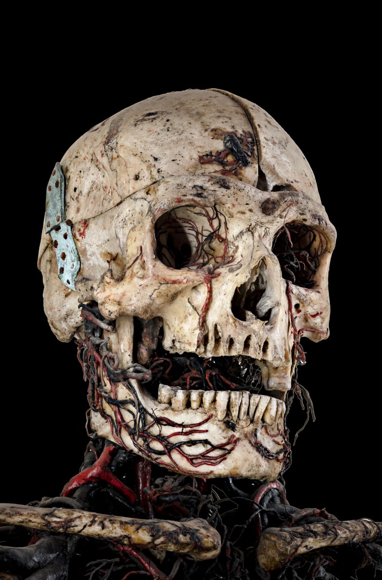 dettaglio Macchine anatomiche